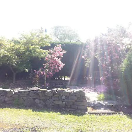 Home Comforts In Peaceful 2 Acres Inverness Exteriör bild